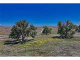 Fiddleback Ranch Rd - Photo 28