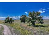  Fiddleback Ranch Rd - Photo 3