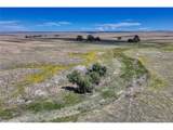  Fiddleback Ranch Rd - Photo 8
