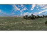  Bison Meadows Ct - Photo 10