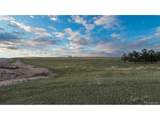  Bison Meadows Ct - Photo 11