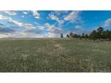  Bison Meadows Ct - Photo 12