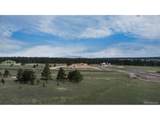  Bison Meadows Ct - Photo 7