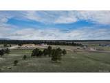  Bison Meadows Ct - Photo 8