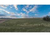  Bison Meadows Ct - Photo 9