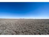 35800 Hanisch Rd - Photo 12
