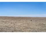 35800 Hanisch Rd - Photo 15
