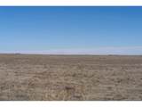 35800 Hanisch Rd - Photo 16
