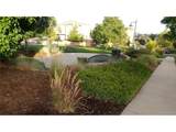 665 Burgundy St - Photo 24