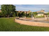 665 Burgundy St - Photo 26