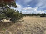 39080 County Road 21 - Photo 3