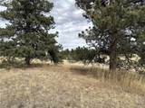 39080 County Road 21 - Photo 4