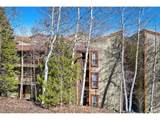 2401 Ryan Gulch Ct - Photo 12