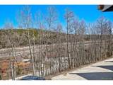 2401 Ryan Gulch Ct - Photo 15
