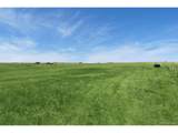 6737 Dahlberg Rd - Photo 46