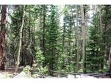0 Hidden Wilderness Rd - Photo 12