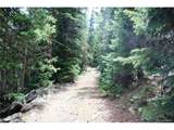 0 Hidden Wilderness Rd - Photo 13