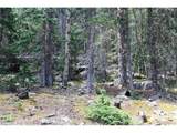 0 Hidden Wilderness Rd - Photo 3