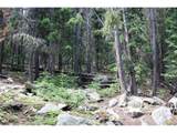 0 Hidden Wilderness Rd - Photo 4