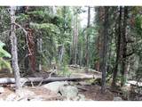 0 Hidden Wilderness Rd - Photo 6