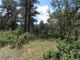 4144 Cheyenne Dr - Photo 16