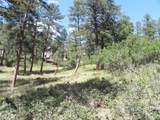 4144 Cheyenne Dr - Photo 25