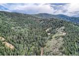 1 Harvest Moon Trail - Photo 5