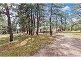 33879 Meadowlark Dr - Photo 6