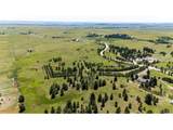 13123 Wilderness Dr - Photo 14