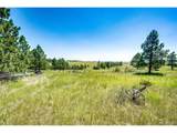 13123 Wilderness Dr - Photo 2
