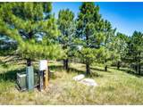 13123 Wilderness Dr - Photo 5