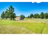 13123 Wilderness Dr - Photo 6