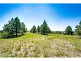 13123 Wilderness Dr - Photo 7