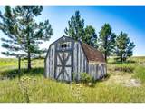 13123 Wilderness Dr - Photo 8