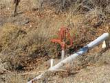 125 Tressel Trl - Photo 13
