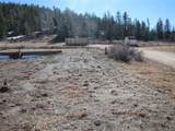 125 Tressel Trl - Photo 8