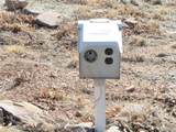 125 Tressel Trl - Photo 9