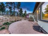 16338 Corkbark Ter - Photo 34