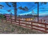 16338 Corkbark Ter - Photo 37