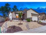 16338 Corkbark Ter - Photo 38