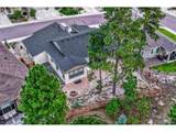 16338 Corkbark Ter - Photo 40