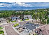 16338 Corkbark Ter - Photo 41