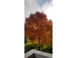 6839 Webster St - Photo 35