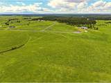 17435 Twinkling Star Ln - Photo 15