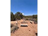 1134 Jorgulesco Rd - Photo 1