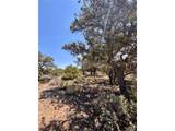 1134 Jorgulesco Rd - Photo 10