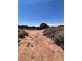 1134 Jorgulesco Rd - Photo 13