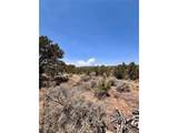 1134 Jorgulesco Rd - Photo 14