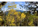 32187 Sylvan Rd - Photo 23