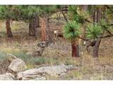 32187 Sylvan Rd - Photo 24